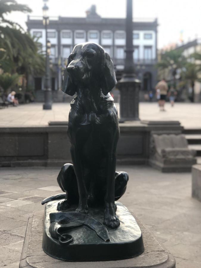 110 Square Meters, 5 Min Of All-best Area Of Palmas * Las Palmas / Gran Canaria